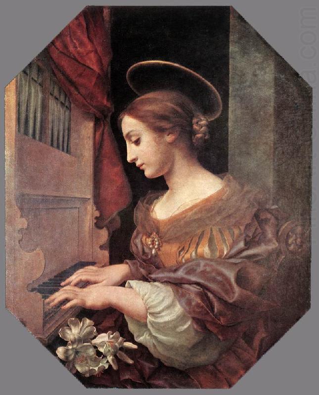 DOLCI, Carlo St Cecilia at the Organ dfg china oil painting image